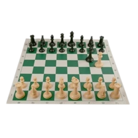 Vinyl Roll-Up Chess Set #981