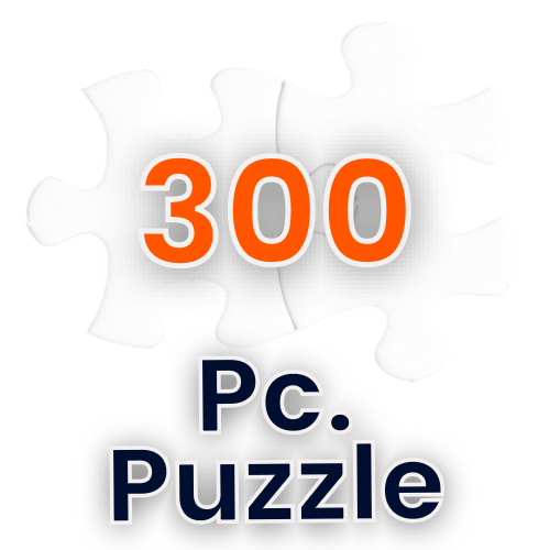 300 pc Jigsaw Puzzle #PUZC
