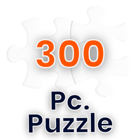 300 pc Jigsaw Puzzle #PUZC