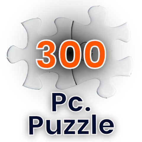 300 pc Jigsaw Puzzle #PUZC